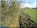 Spittal Beck from Spittal Bridge