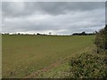 Farmland north of Roughley Corner