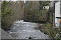 River Tavy at Stannary Bridge