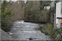SX4874 : River Tavy at Stannary Bridge by N Chadwick