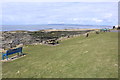 Picnic Area, Troon