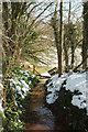 Stream near Cockington