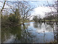 Reflections on a lake, Newport