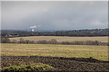 TQ2997 : View South from Williams Wood, Trent Park by Christine Matthews