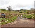 Access road to Lower and Higher Coombe