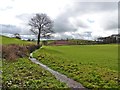 Farmland, west of Bradninch