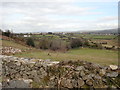 Undulating landscape between the Belfast-Dublin Railway line and Flagstaff Road