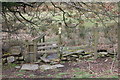ST1194 : Stile to wooden foot bridges by M J Roscoe