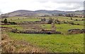 Drumlins pushed against the Ring of Gullion