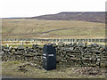 Heathery Cleugh and Puddingthorn Moor