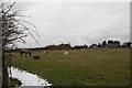 Roman Road Farm in winter