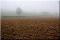 SP3340 : Misty Day in a Muddy Field by Nigel Mykura