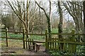 Footpath to Martinstown off the B3159