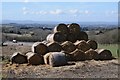 Straw bales at Chapman