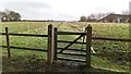 Path Towards The Old Quail Farm