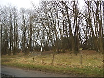 TL8689 : Woods by Wyrley's Belt, Croxton by David Howard