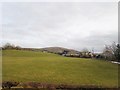 Grazing land at Bridge Mushroom Farm