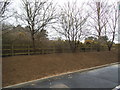 Newly cleared verge by the BP garage on the Thetford bypass