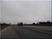 TL9688 : Lay-by on the A11, Larling Heath by David Howard