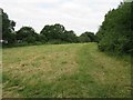 Openland by Guildford cathedral