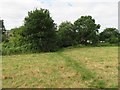 Openland by Guildford cathedral