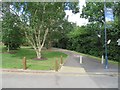 Cycle path towards International House