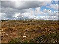 NS8747 : Clear-felled area, Cartland Muir Plantation by Alan O'Dowd
