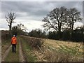 Footpath out of Welshampton