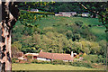 Branscombe: above Hole Mill