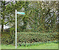 TL1419 : Chiltern Way Bridleway sign by Geographer