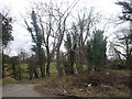 Field entrance on the Newry Road