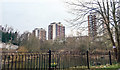 SD8403 : Towerblocks from Blackley New Road by Steven Haslington