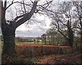 View over farmland in the direction of Derryleckagh Lake