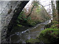 Afon Teifi / Teifi River