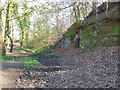 Sandstone cliff near River Goyt