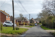 SY9386 : Barnhill Road, Ridge by Robin Webster