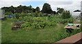 Nibley Lane Allotments, Iron Acton