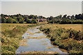 River Allen near Wimborne St Giles