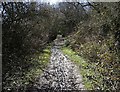 Bridleway to the east of Owday Wood