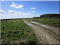 Garton Balk near Wold Farm