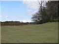 Ballumbie Castle 2nd hole, Easter Powrie