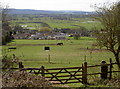 Below Bayes Wood