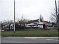 The Cross, Maple Cross