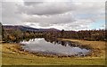 NN1982 : Lochan near Brackletter by valenta