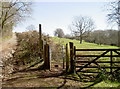 Junction along Cadbury Camp Lane West