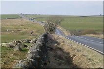 NY8790 : Dry stone wall beside the A68 by Russel Wills