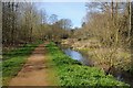 Stream flowing through Springfield Park