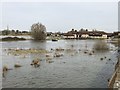 TL3170 : Spring flooding in St Ives, Cambridgeshire - 3/10 by Richard Humphrey