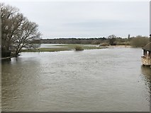 TL3171 : Spring flooding in St Ives, Cambridgeshire - 9/10 by Richard Humphrey