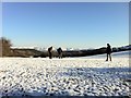 A walk in the snow, near Cyffylliog